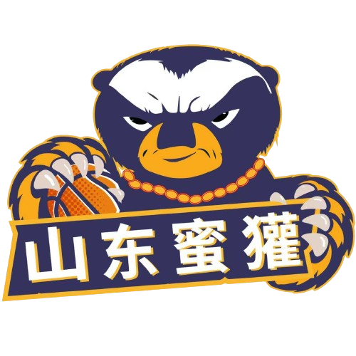 多伦多FC